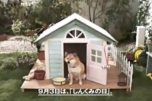 本仮屋ユイカＣＭ